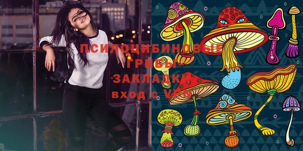 крисы Алексеевка