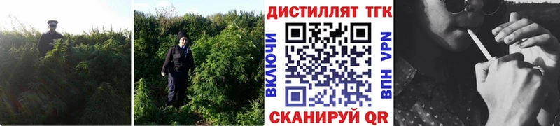 Дистиллят ТГК Wax Лениногорск