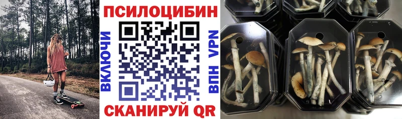 где купить наркотик  Лениногорск  Галлюциногенные грибы Magic Shrooms 